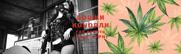 гидропоника Иннополис