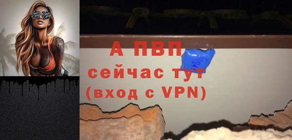 гидропоника Иннополис