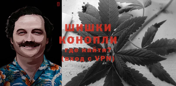 гидропоника Иннополис