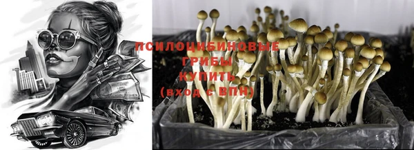 гидропоника Иннополис
