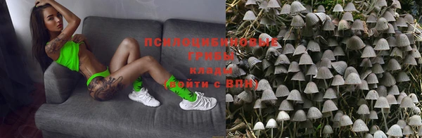 марки nbome Инсар